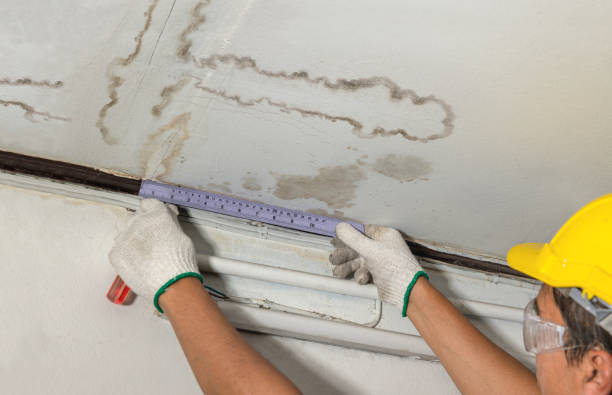 Reliable Mold Remediation contractor in Rye, CO by Water Damage Irwin